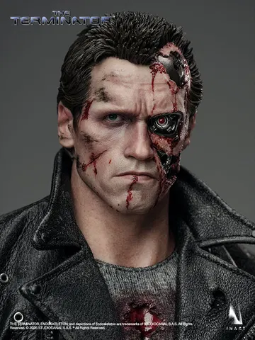 The Terminator: T - 800