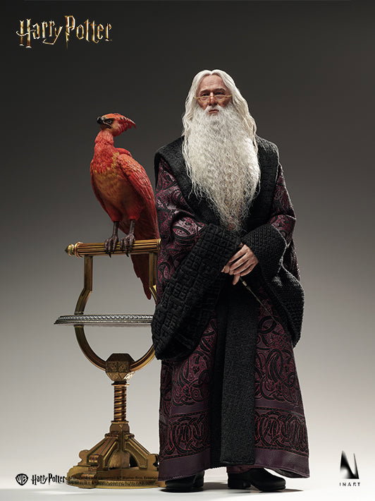 Albus Dumbledore - Deluxe & Premium Version image 10