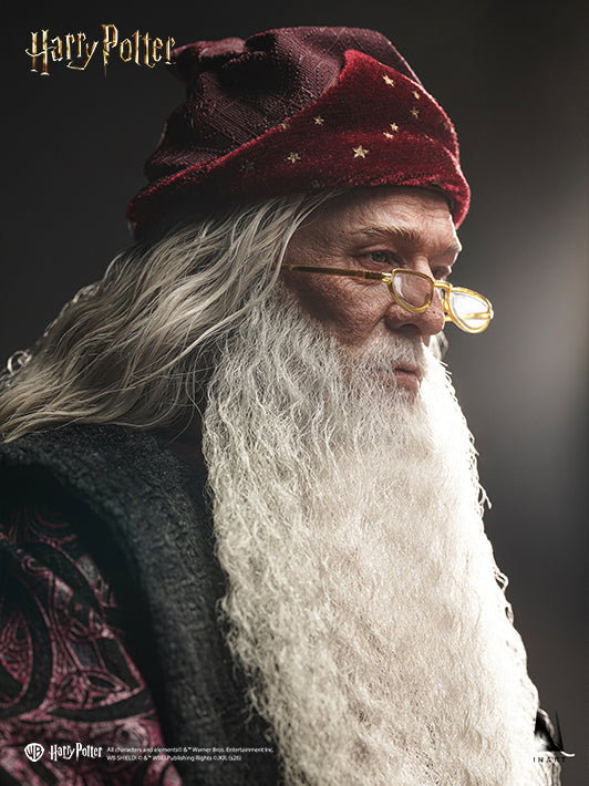 Albus Dumbledore - Deluxe & Premium Version image 3
