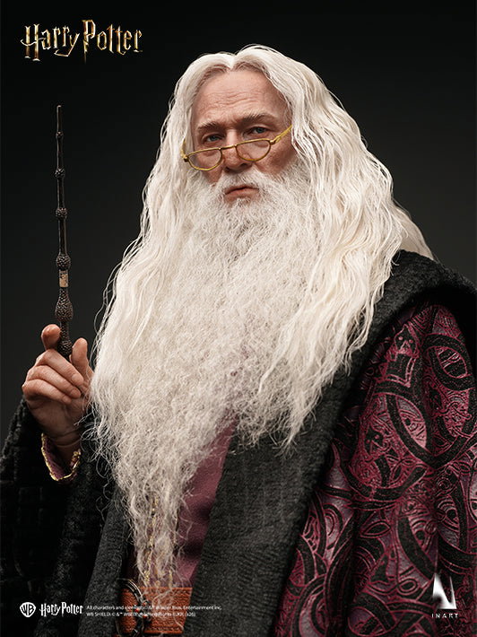 Albus Dumbledore - Deluxe & Premium Version image 6