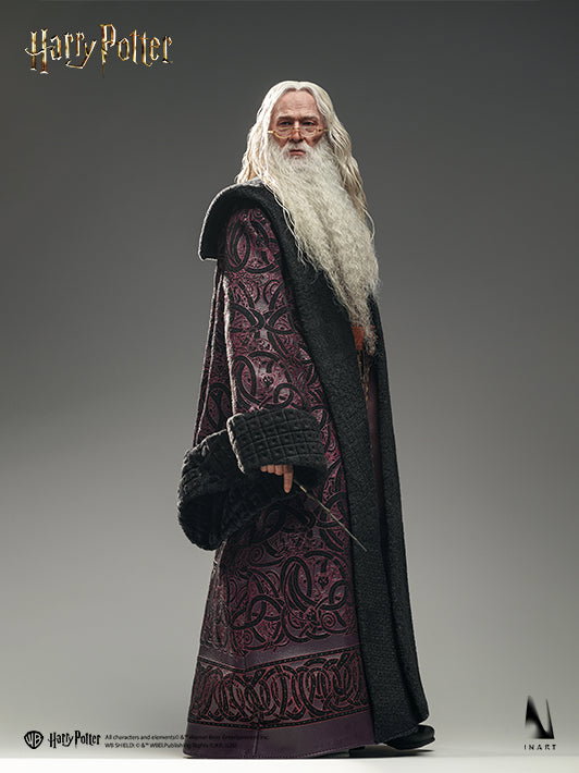 Albus Dumbledore - Deluxe & Premium Version image 9