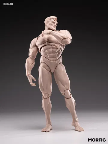 Male Body β