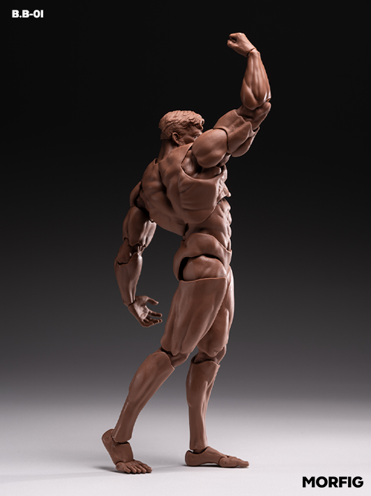 Male Body β image 9