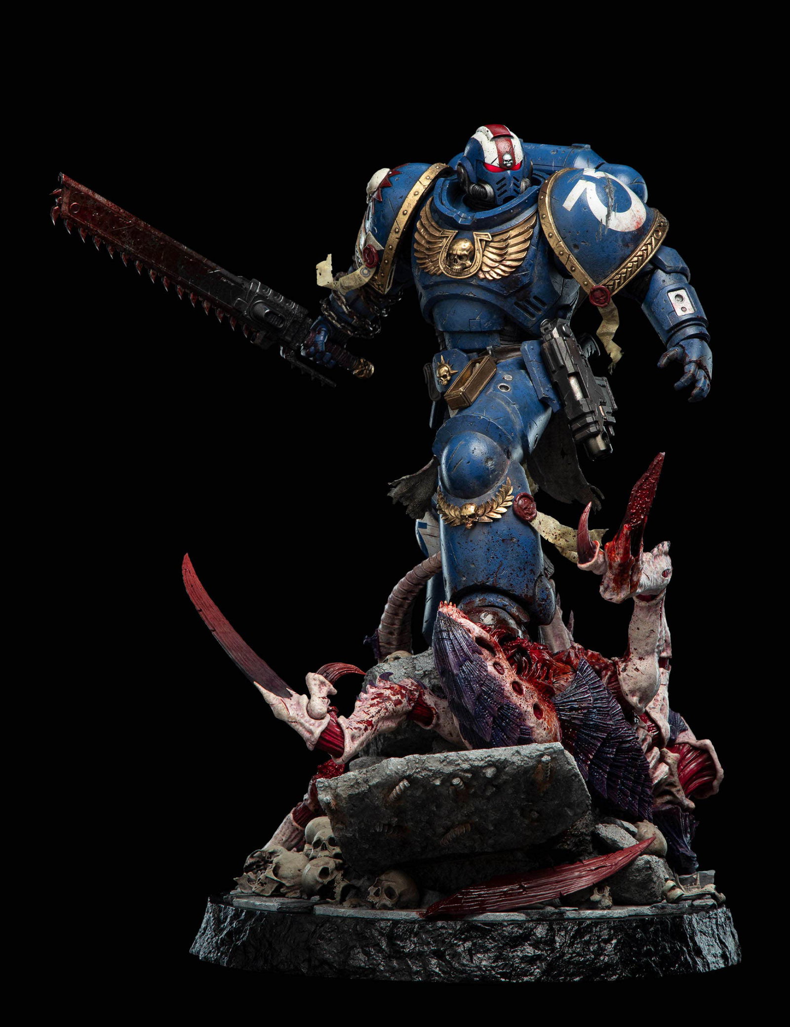 LIEUTENANT TITUS - LIMITED EDITION image 2