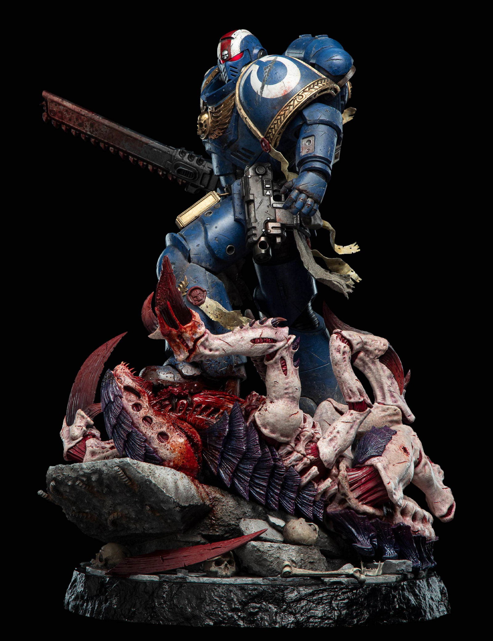 LIEUTENANT TITUS - LIMITED EDITION image 4