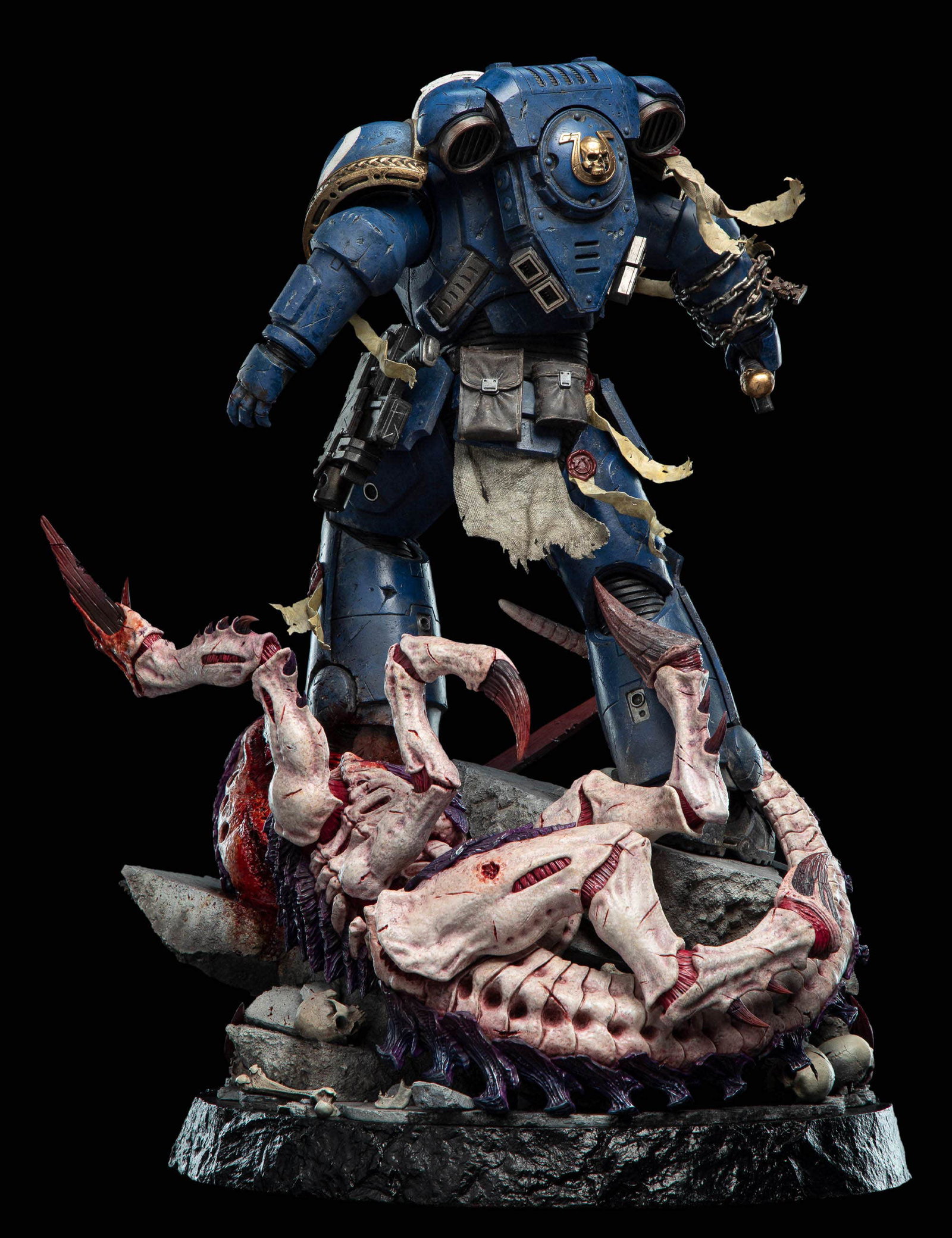 LIEUTENANT TITUS - BATTLELINE EDITION image 5