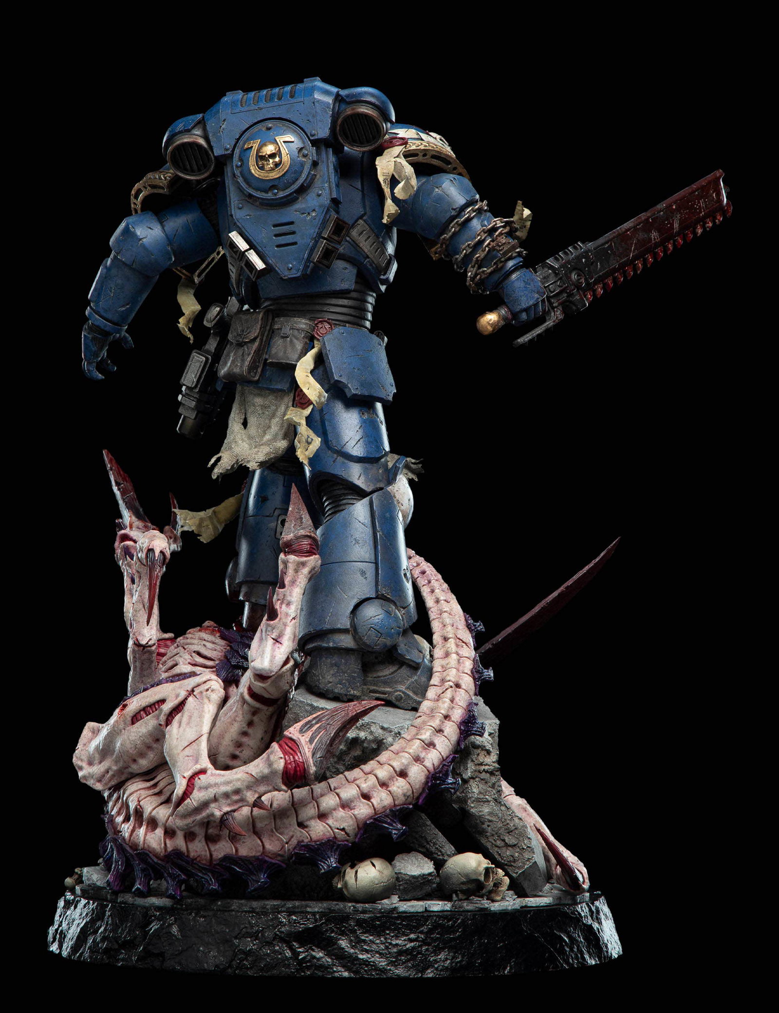 LIEUTENANT TITUS - BATTLELINE EDITION image 6
