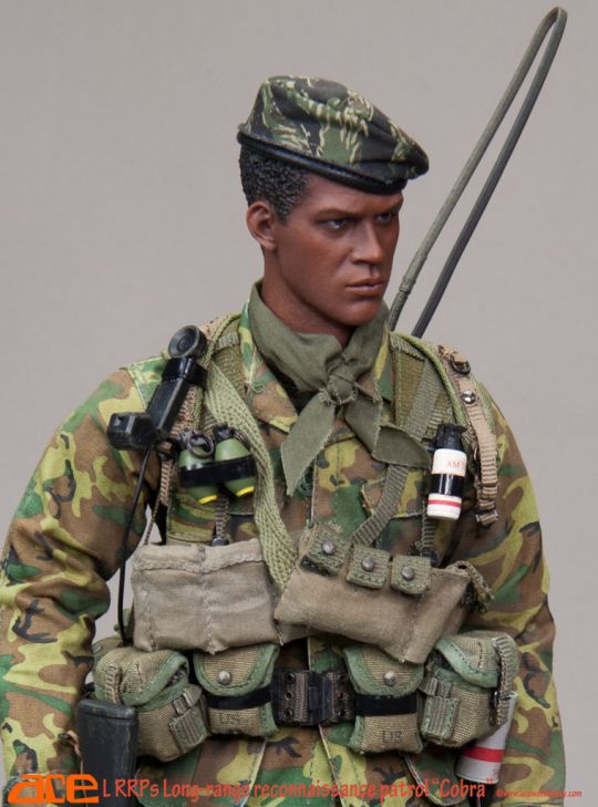 LRRPS - Long Range Reconnaissance Patrol Cobra image 6