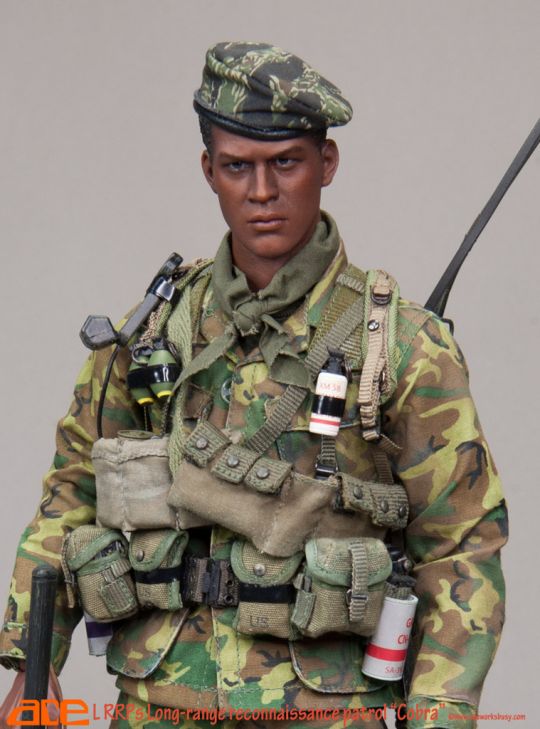 LRRPS - Long Range Reconnaissance Patrol Cobra image 7