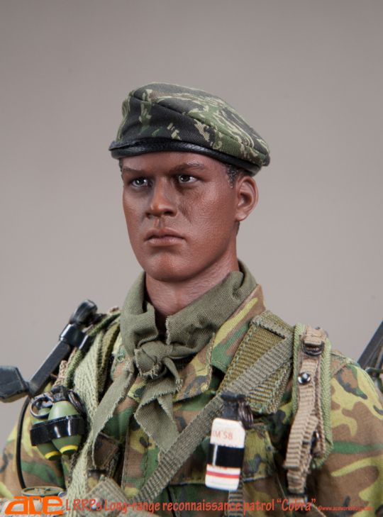 LRRPS - Long Range Reconnaissance Patrol Cobra image 9