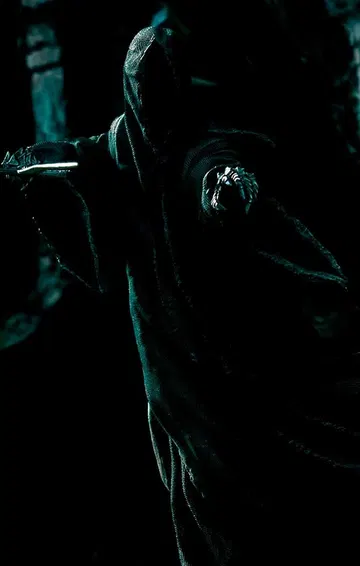 Attacking Nazgul - Lord of the Rings - Bds