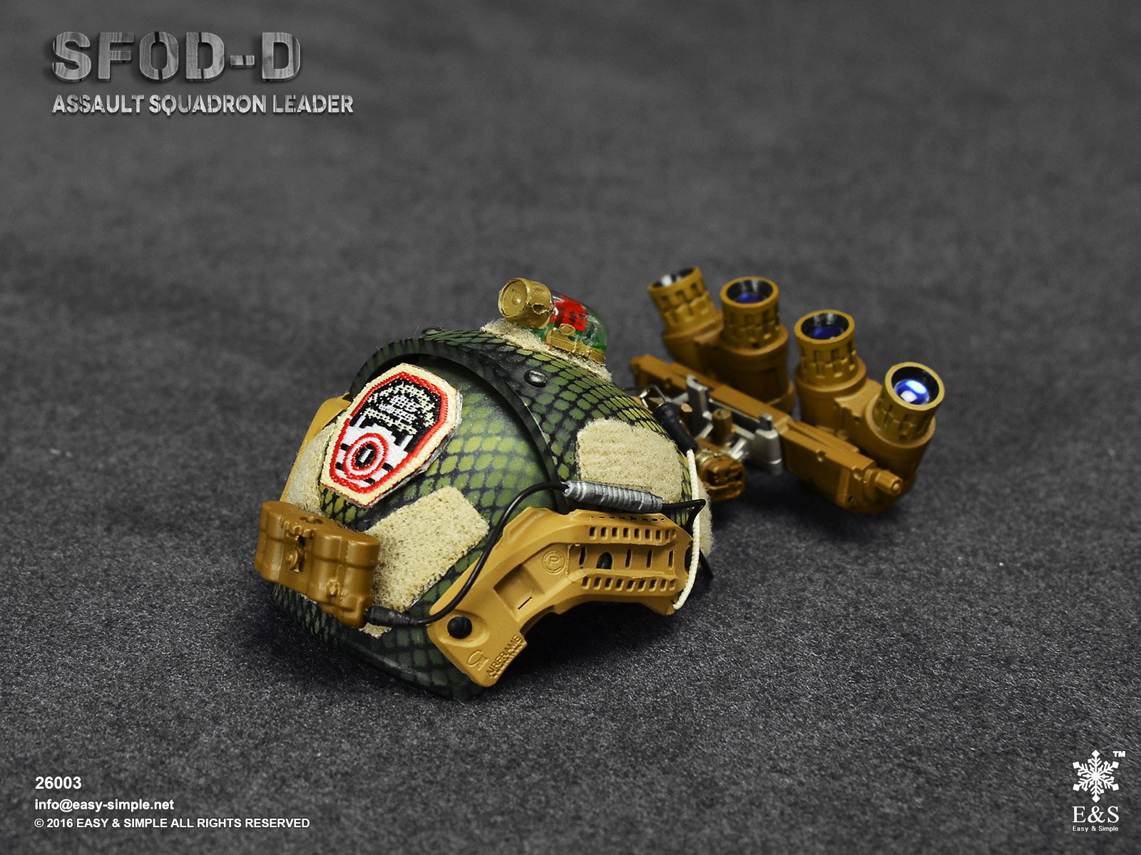 SFOD-D Assault Squadron leader image 10