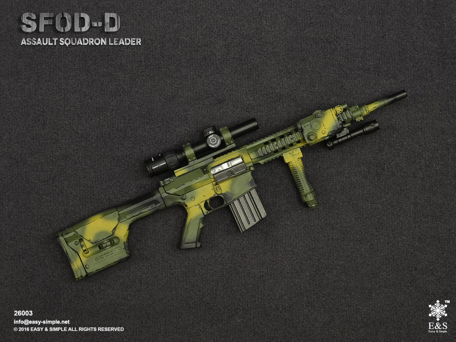SFOD-D Assault Squadron leader image 3