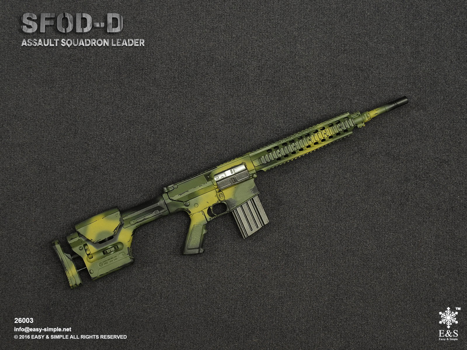 SFOD-D Assault Squadron leader image 5