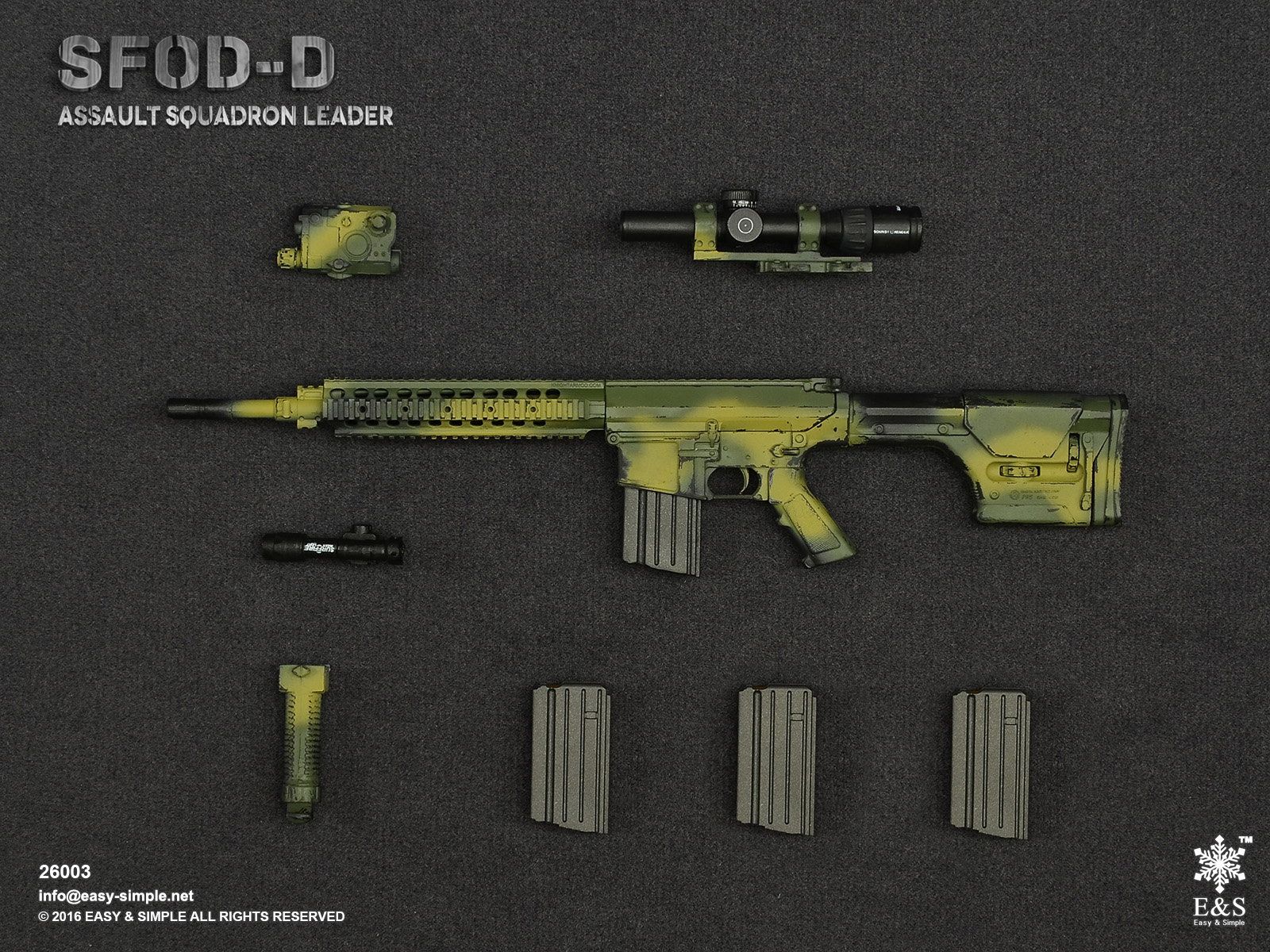 SFOD-D Assault Squadron leader image 6