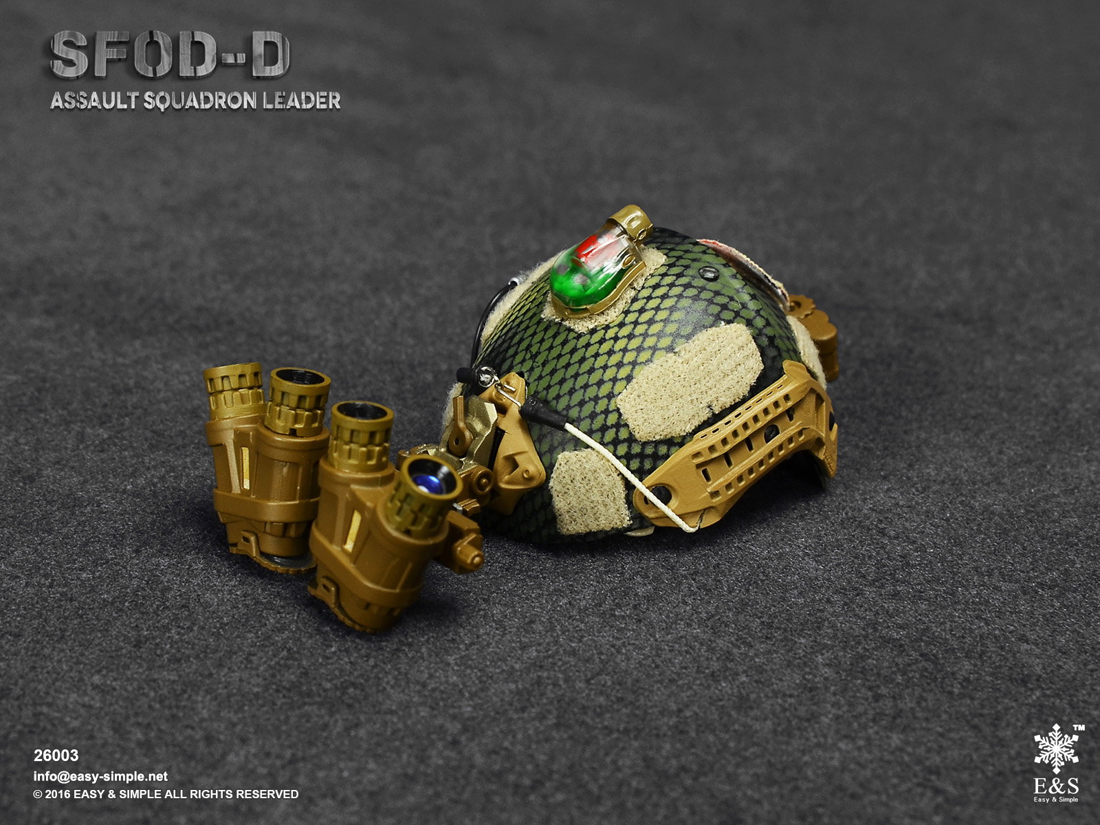 SFOD-D Assault Squadron leader image 9
