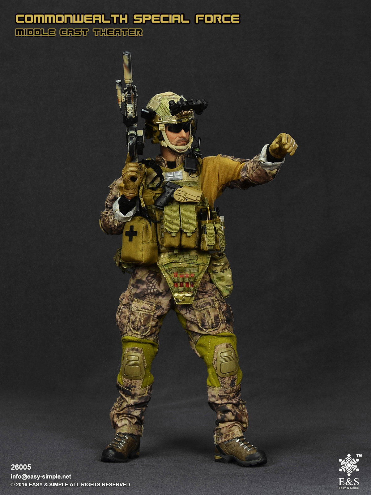Commonwealth Special Force Middle East Theater image 10