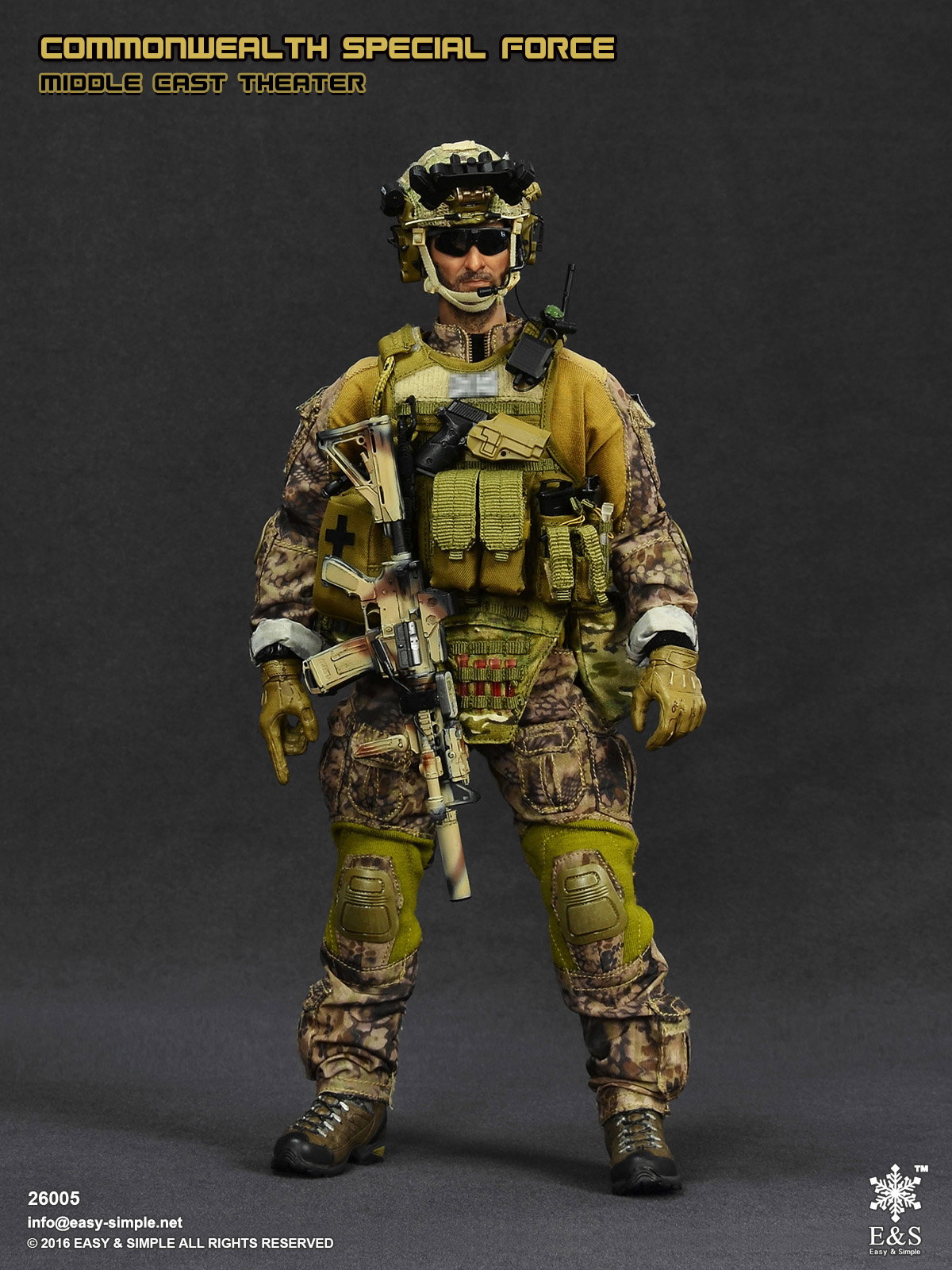 Commonwealth Special Force Middle East Theater image 3