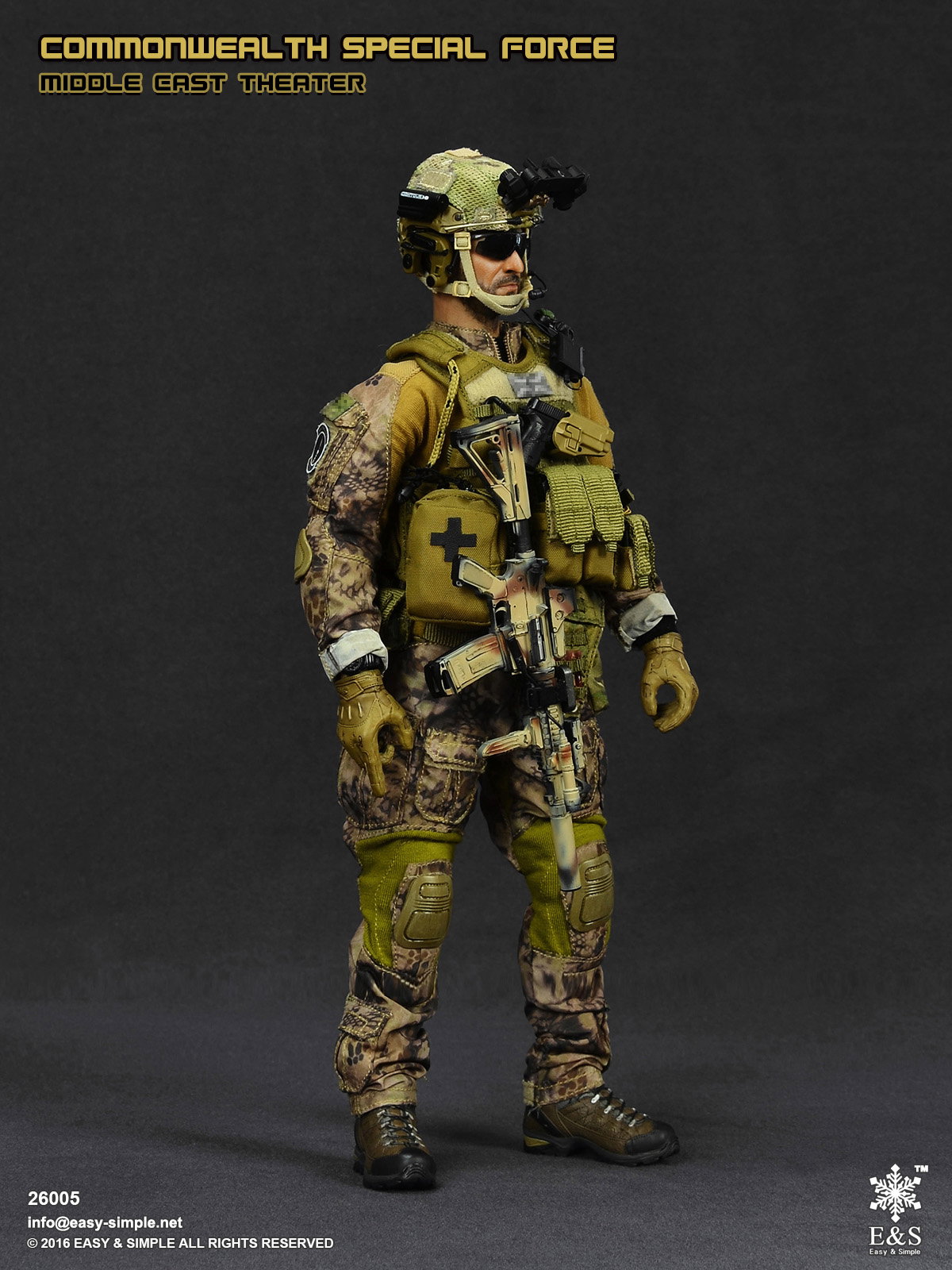 Commonwealth Special Force Middle East Theater image 4