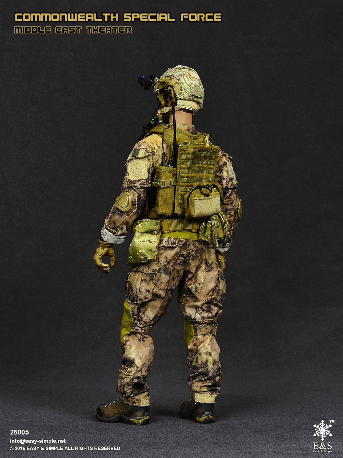 Commonwealth Special Force Middle East Theater image 5