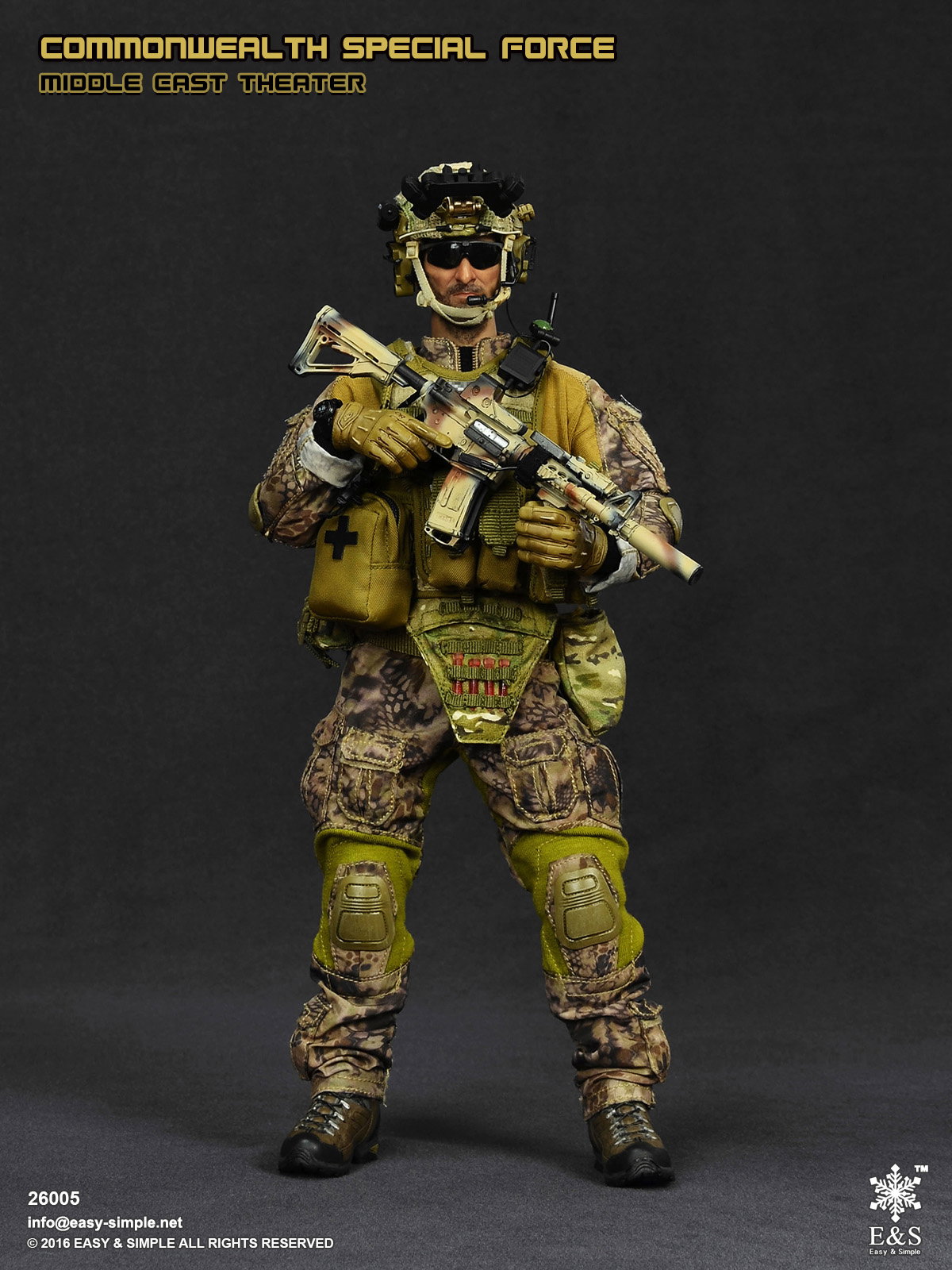Commonwealth Special Force Middle East Theater image 6