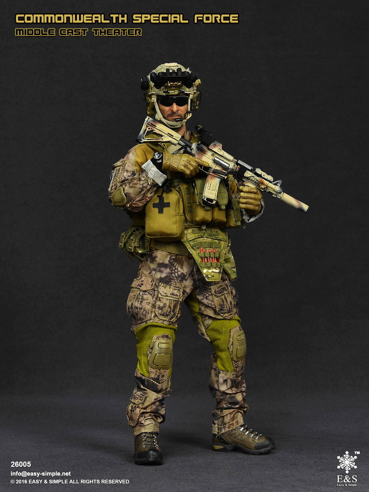 Commonwealth Special Force Middle East Theater image 7