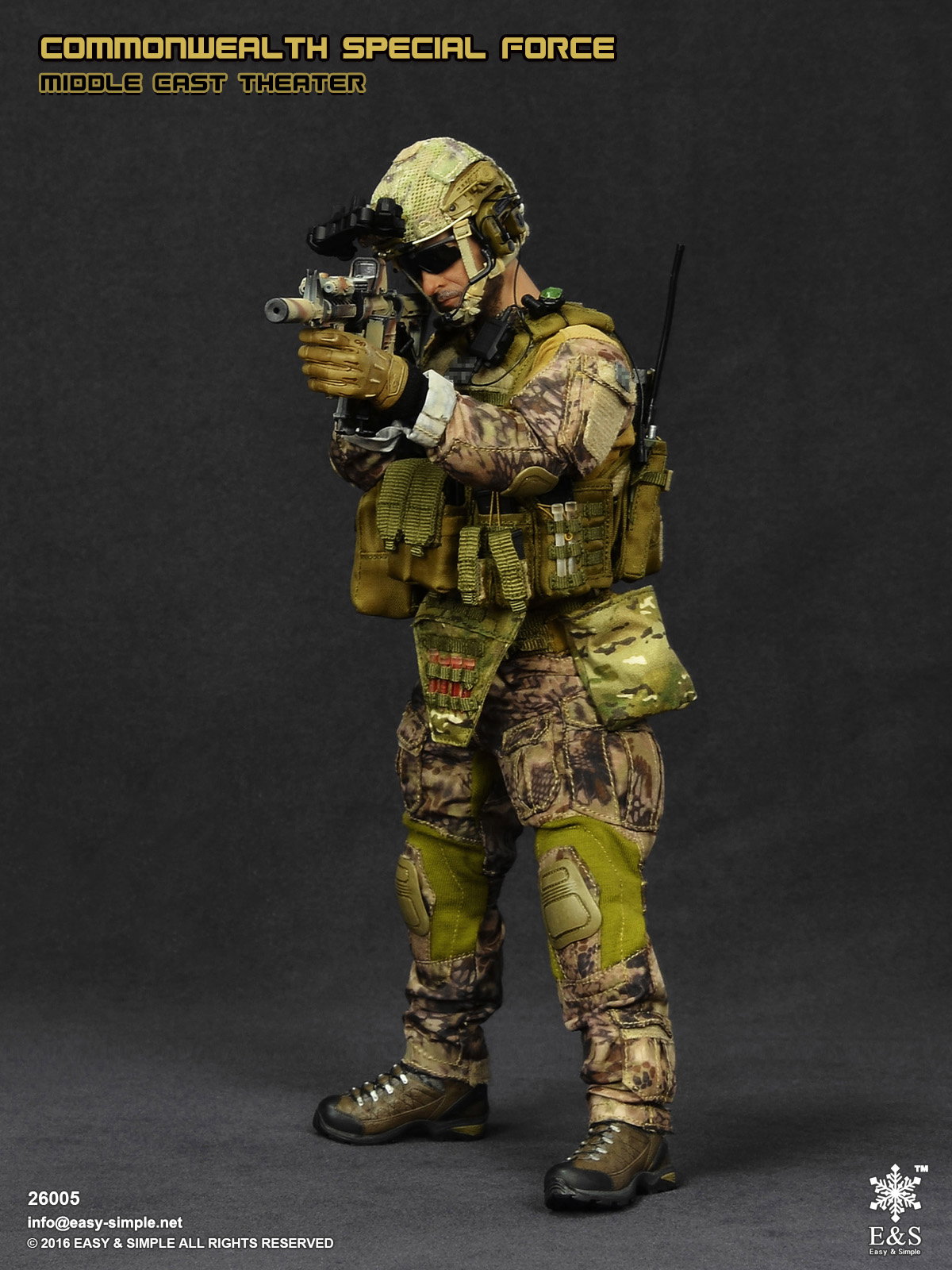 Commonwealth Special Force Middle East Theater image 8