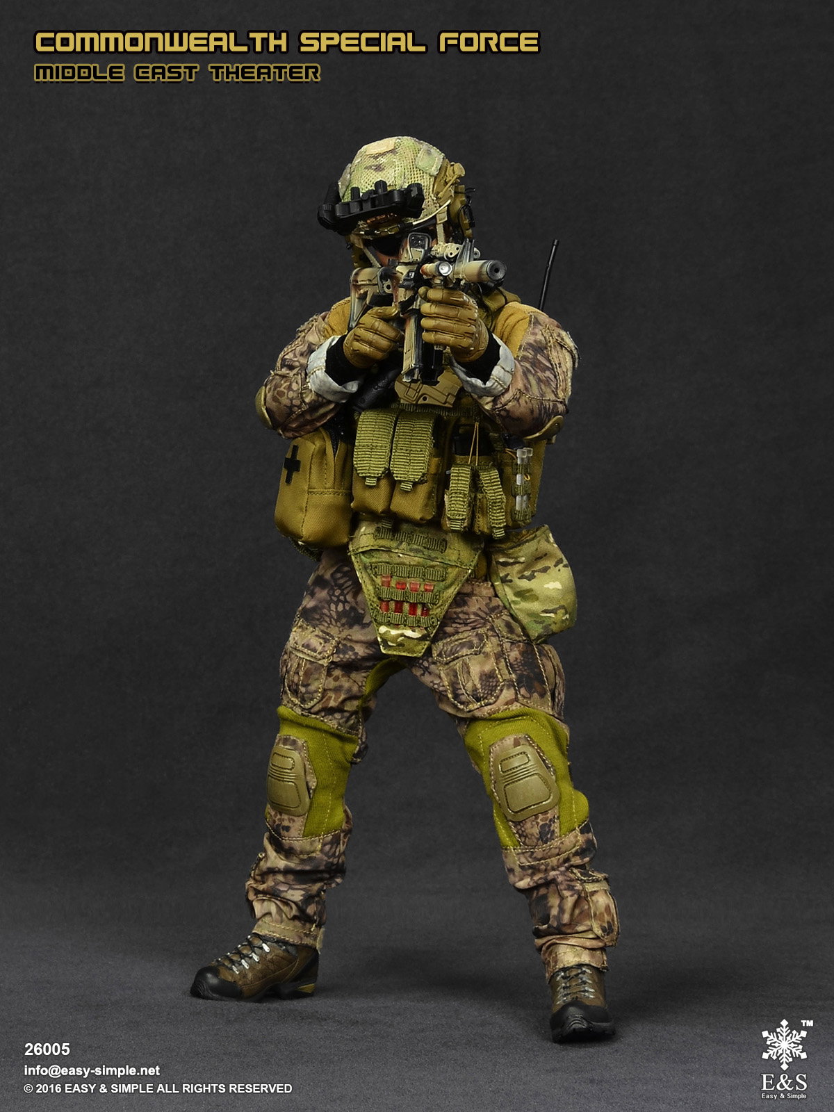 Commonwealth Special Force Middle East Theater image 9