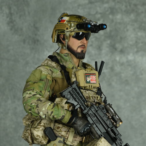N.S.W.D.G Infiltration Team image 1