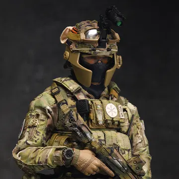 FSB ALPHA TEAM LEADER
