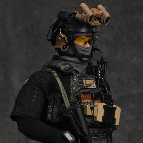 Paramilitary Forces Operator image 1