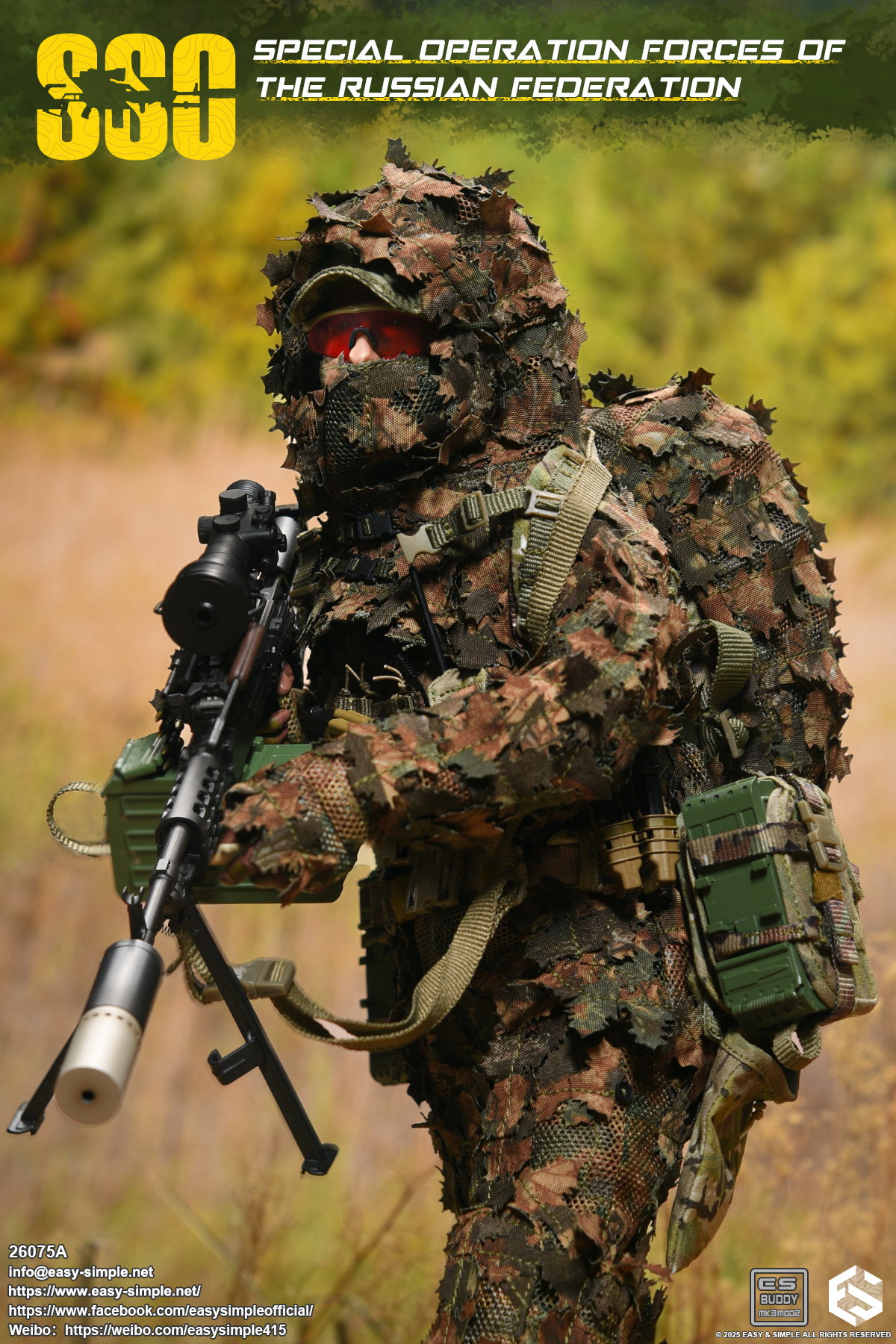 Russian Special Operations Forces(SSO) image 4