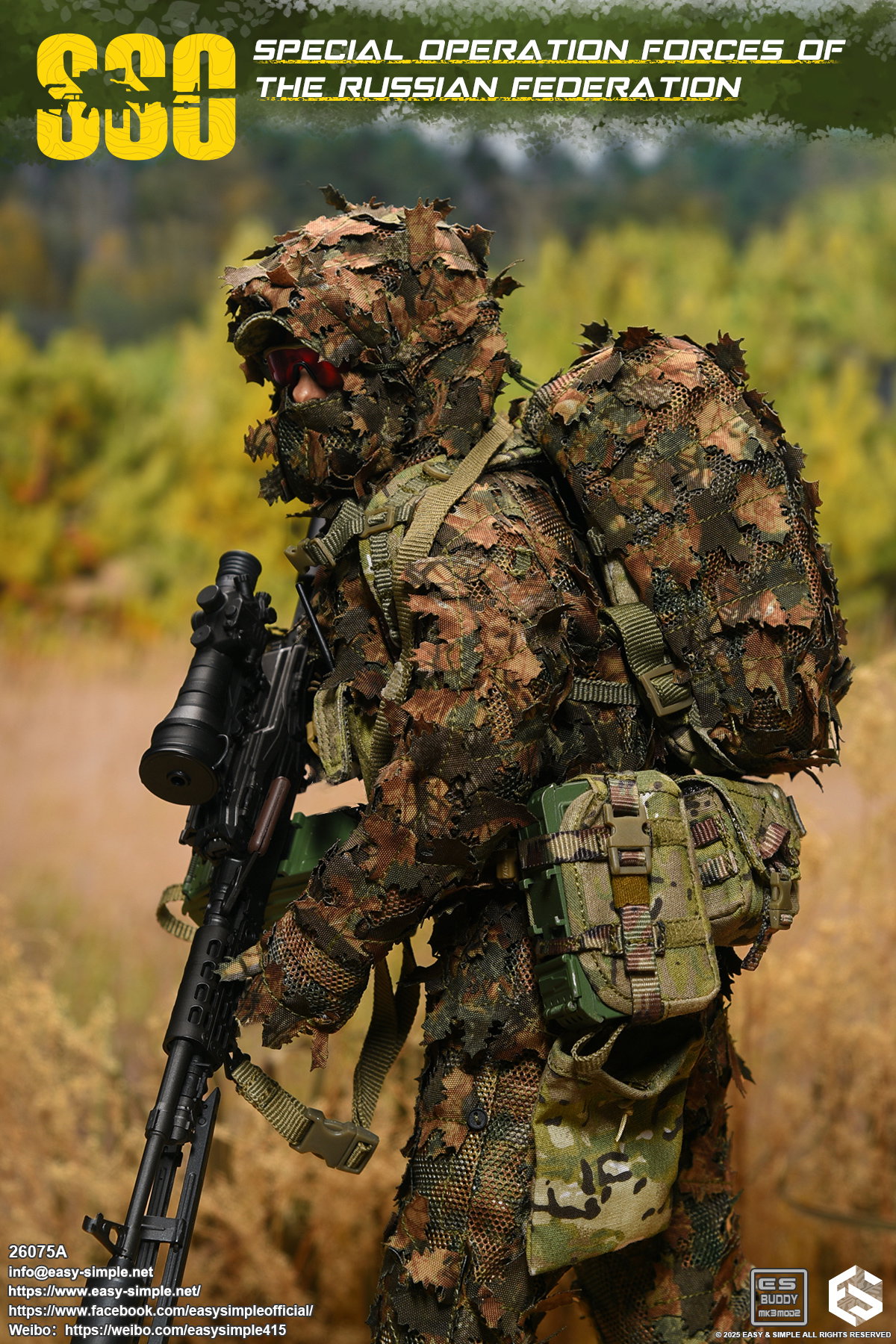 Russian Special Operations Forces(SSO) image 5