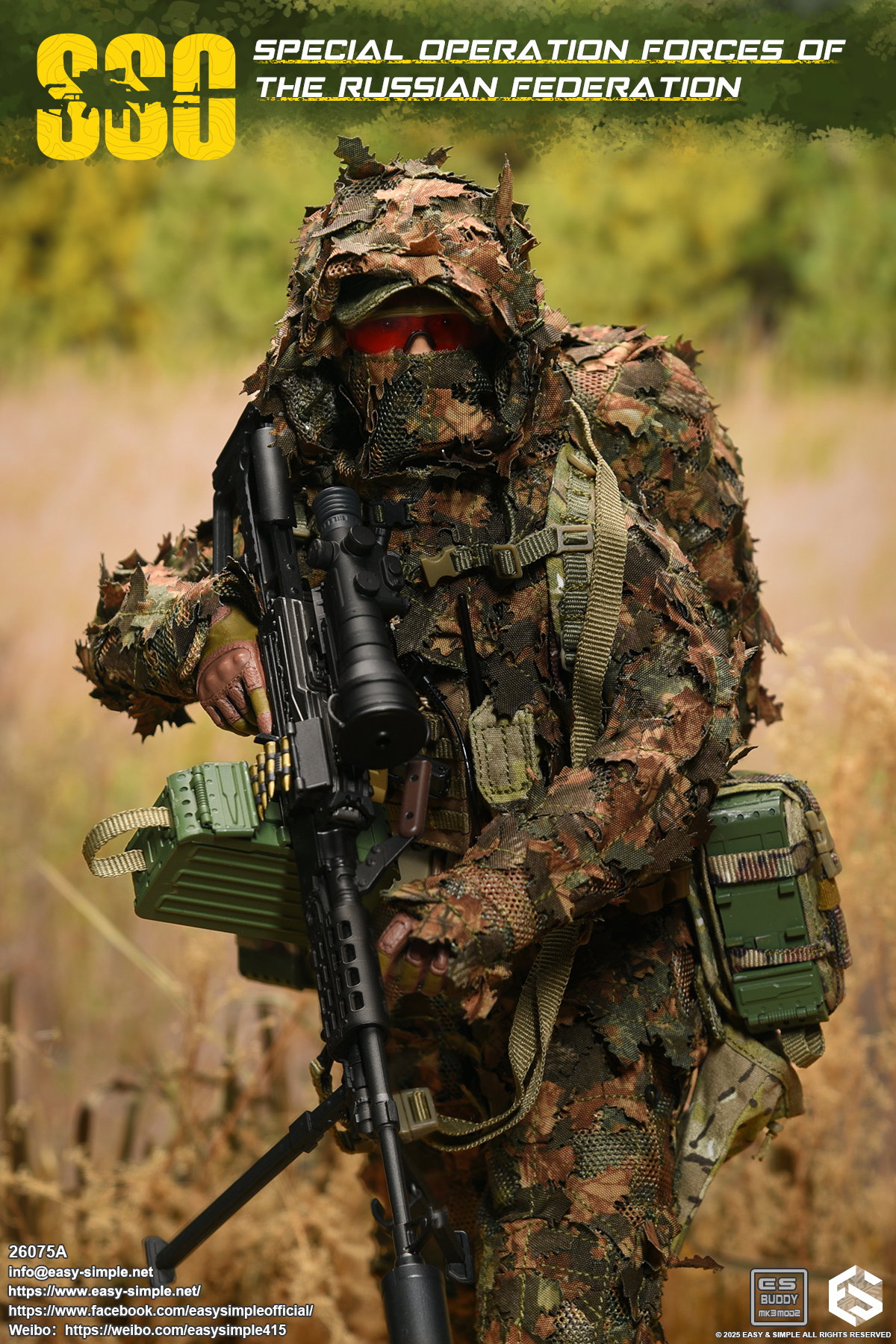 Russian Special Operations Forces(SSO) image 6
