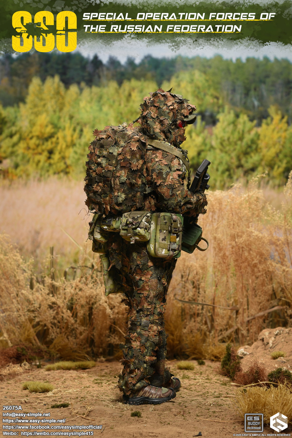 Russian Special Operations Forces(SSO) image 8