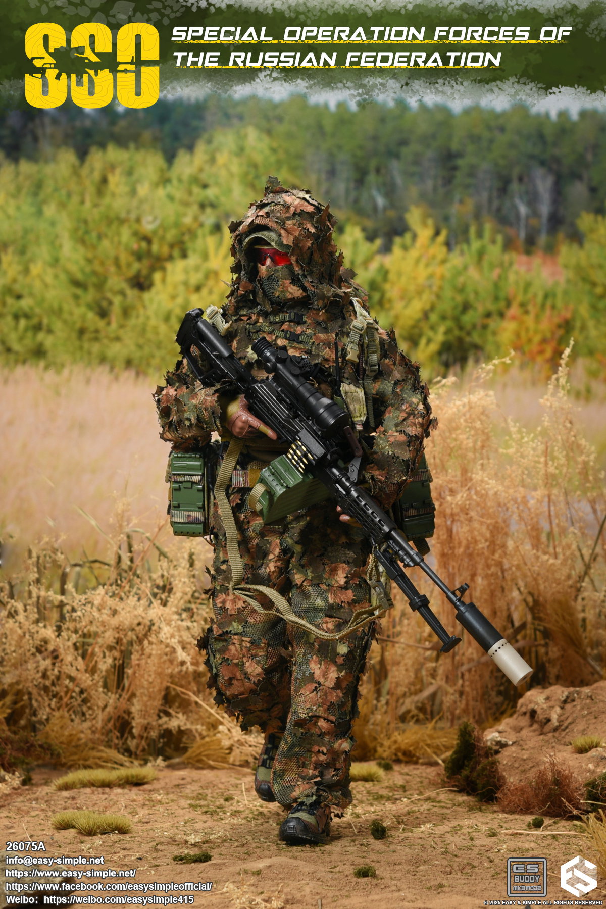 Russian Special Operations Forces(SSO) image 9