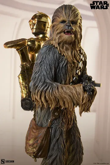 ChewbaccaTM and C-3POTM