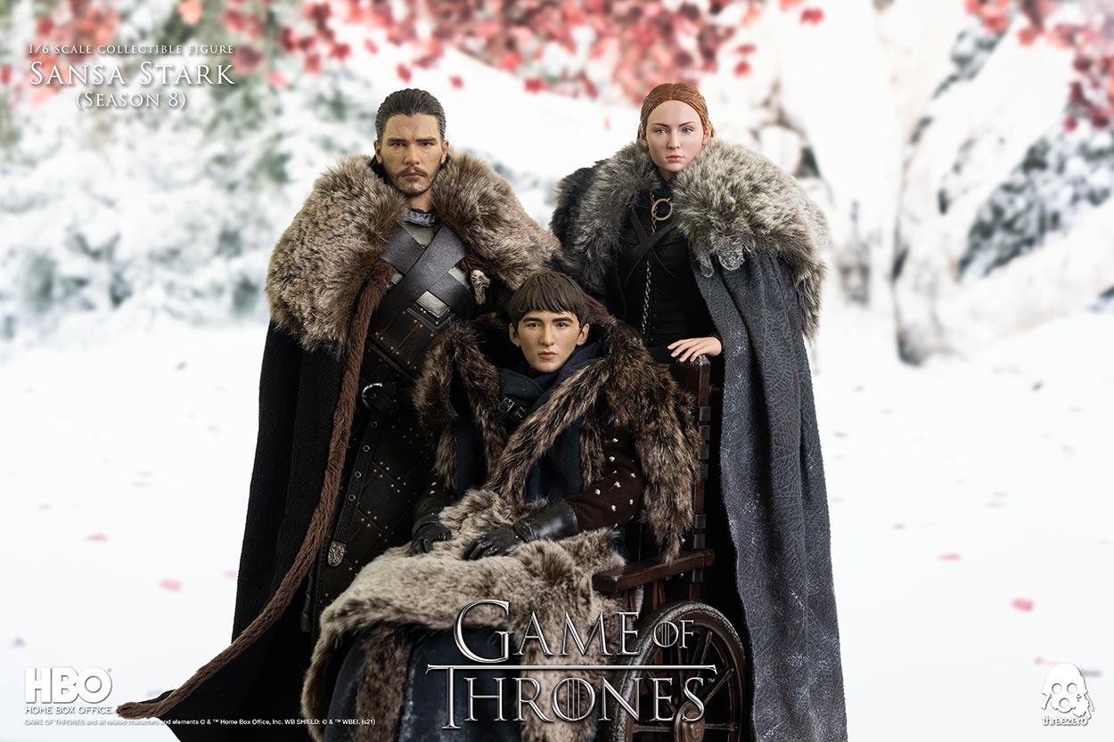 Game of Thrones 1/6 Sansa Stark (Season 8) image 3