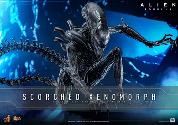 Alien: Romulus - Scorched Xenomorph