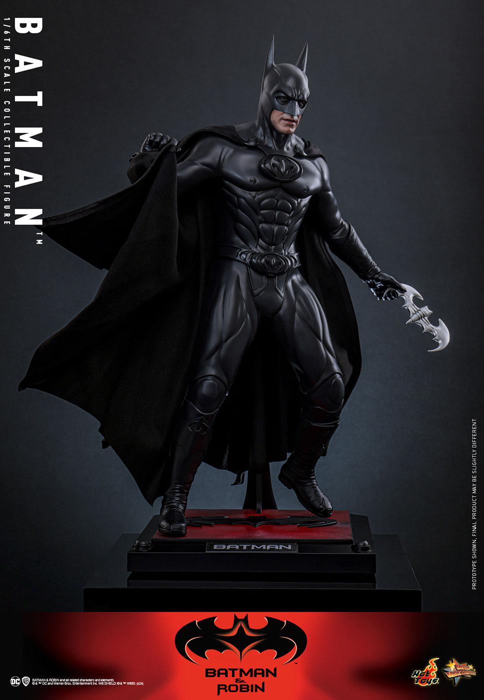 Batman & Robin - Batman image 4
