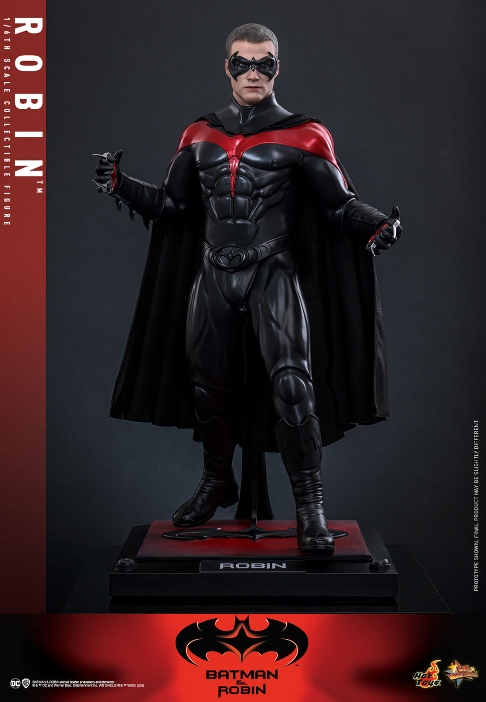 Batman & Robin - Robin image 3