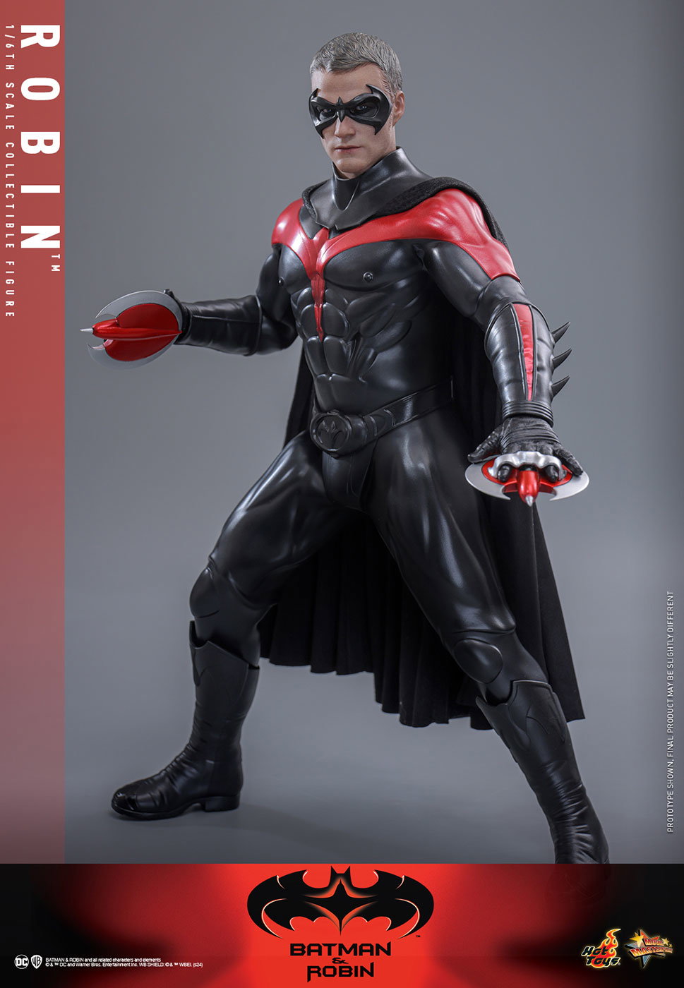 Batman & Robin - Robin image 4
