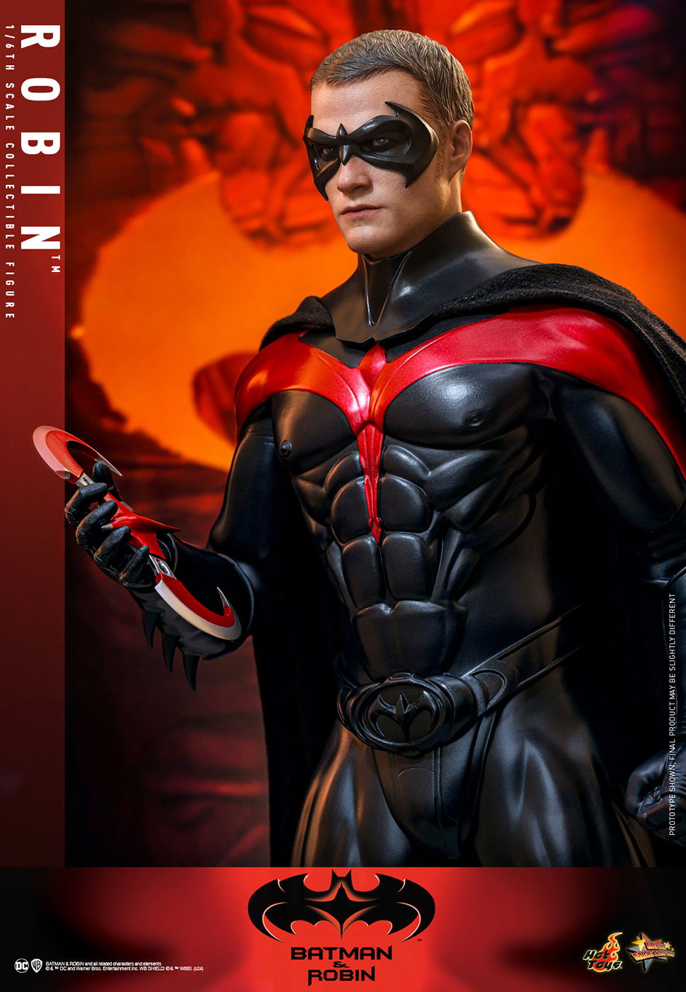Batman & Robin - Robin image 7