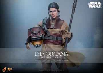 Star Wars / Episode VI Return Of The Jedi - Leia Organa (Boushh Disguise)