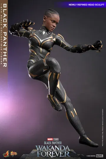Black Panther: Wakanda Forever - Black Panther