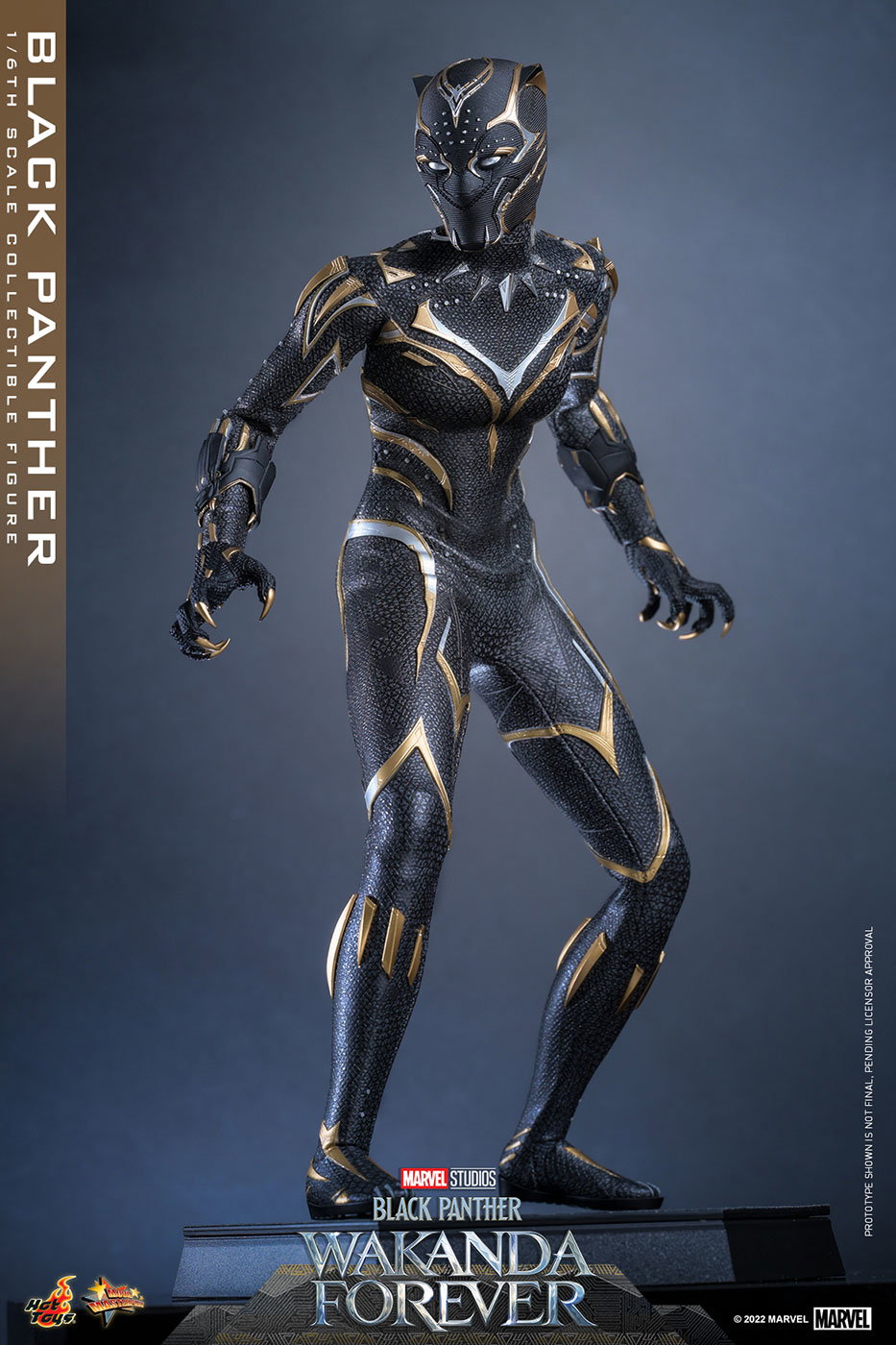 Black Panther: Wakanda Forever - Black Panther image 10