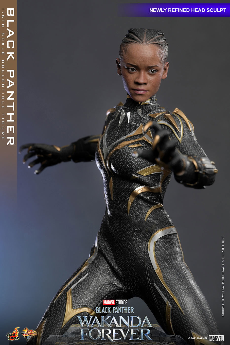 Black Panther: Wakanda Forever - Black Panther image 3