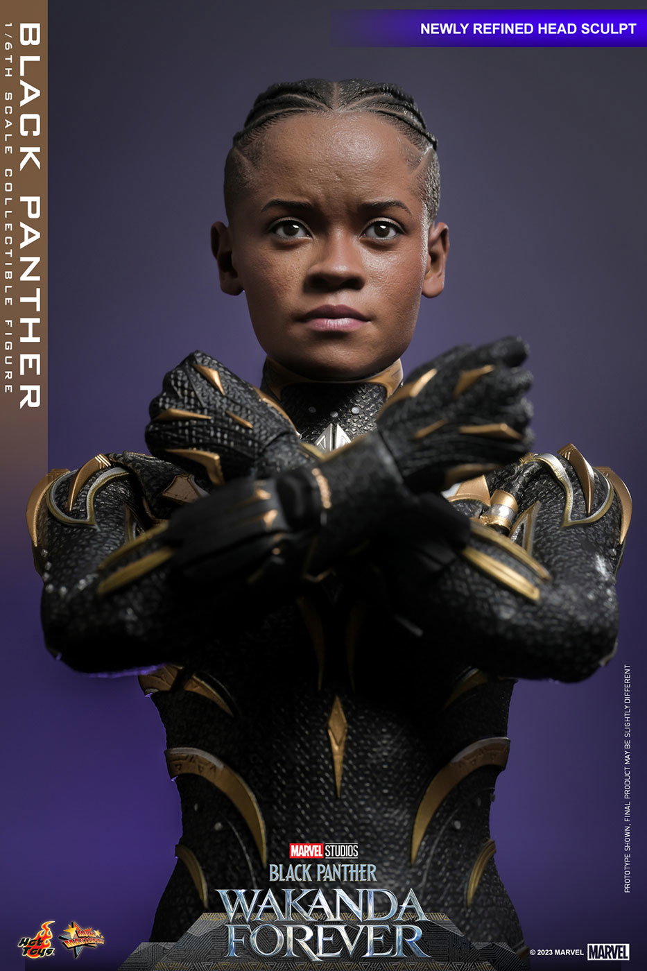 Black Panther: Wakanda Forever - Black Panther image 4