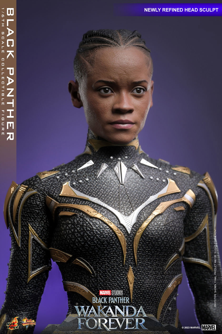 Black Panther: Wakanda Forever - Black Panther image 5