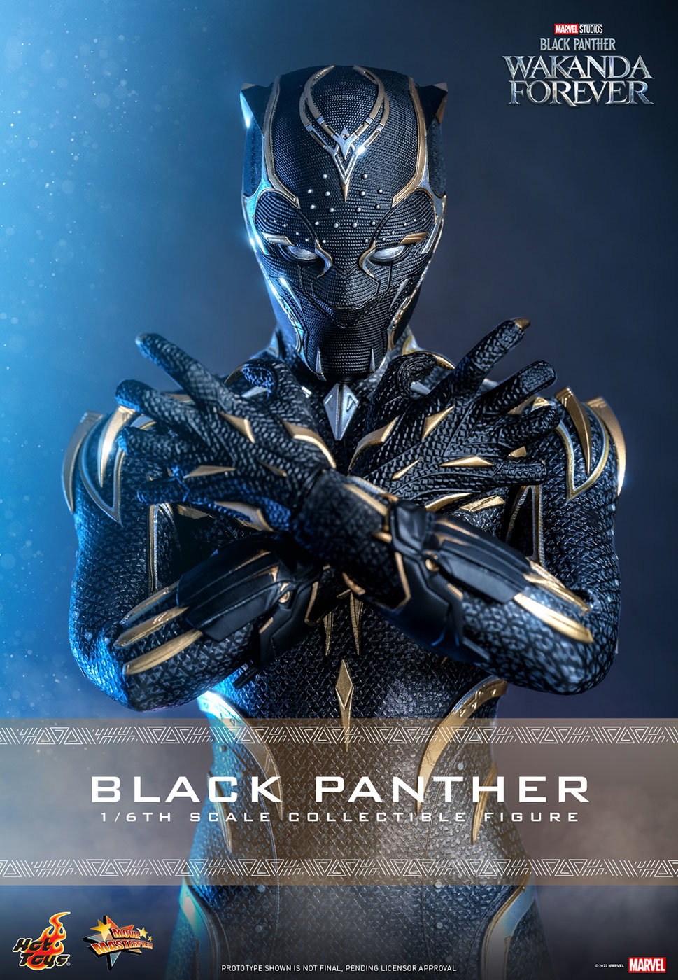Black Panther: Wakanda Forever - Black Panther image 8